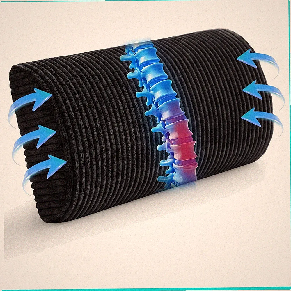 Lumbar Support Pillow for Recliner Chair/Accent Chair/Couch, Memory Foam Back...